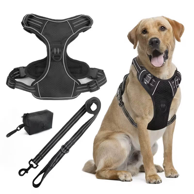 RuffRover 2.0™ Pup Safety Harness Bundle