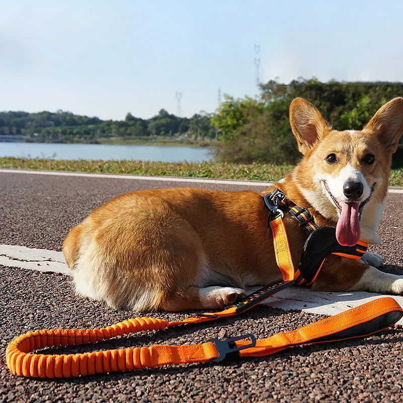 RuffRover 2.0™ Extended Heavy Duty Bungee Leash Safety Belt Buckle